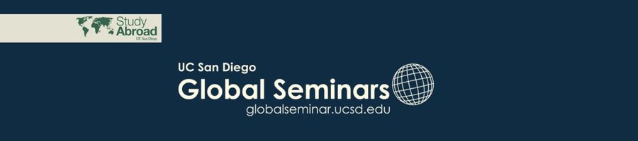 Global Seminars Meet the Professor Sessions