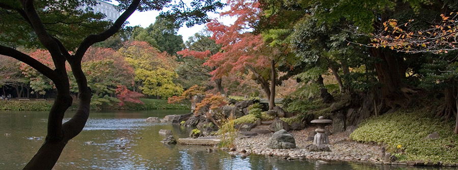 1 of 1, Koishikawa korokuen Garden