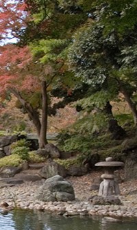 Zen, Art, and Nature in Japan