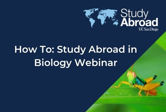 How to study abroad Video