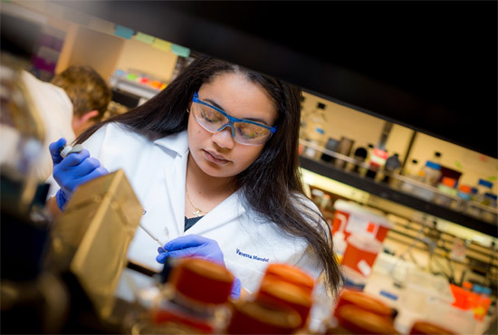 ucsd biology phd students