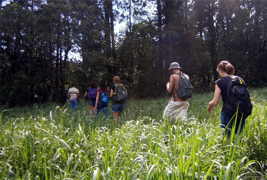 UCEAP students on a hike in Costa Rica - environmental systems majors - Tropical Biology & Conservation