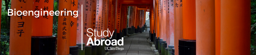 Study Abroad in Bioengineering - text image