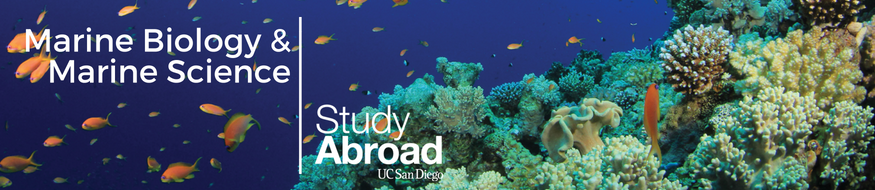 Study Abroad in Marine Biology - text image
